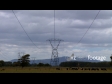 Power Lines & Dairy Cows 1 1164